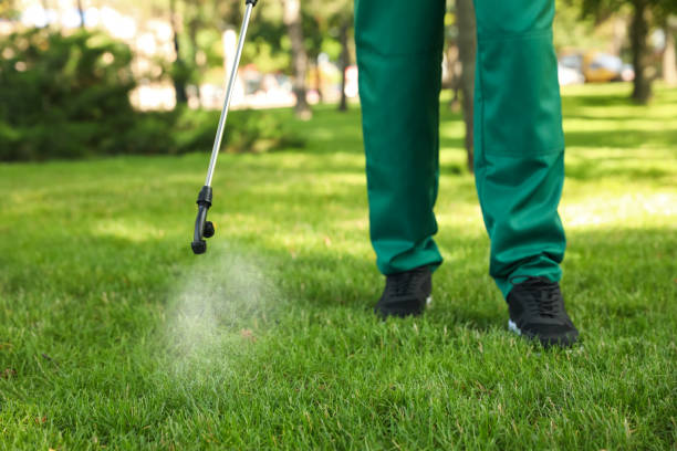 Best Pest Removal Services  in Waymart, PA