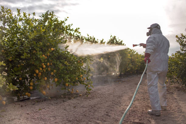 Best Mosquito Control Services  in Waymart, PA