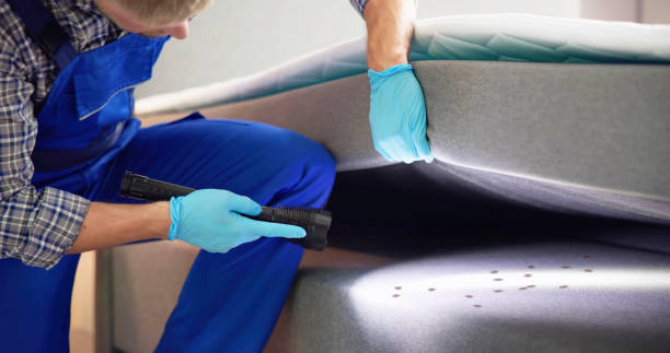 Best Flea Control Services  in Waymart, PA