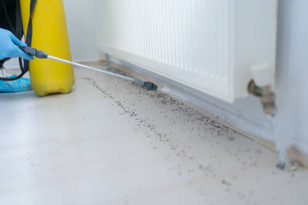 Trusted Waymart, PA Pest Control Experts