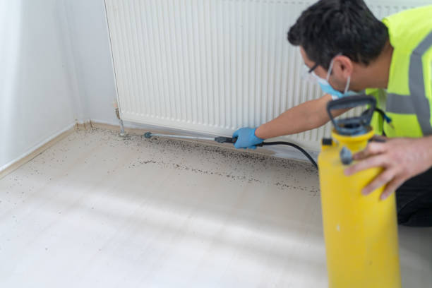 Wasp Removal Services in Waymart, PA