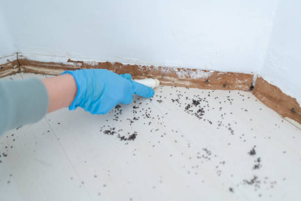 Best Mosquito Control Services  in Waymart, PA